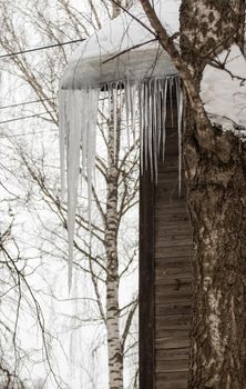 Large transparent icicles hang from the edge of the roof. Against the background of the wooden wall of the old house. Large cascades, even beautiful rows. Cloudy winter day, soft light.