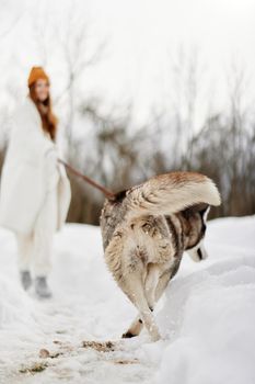 Happy young woman with a purebred dog for a walk in winter nature winter holidays. High quality photo