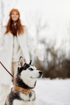 young woman with husky winter walk outdoors friendship winter holidays. High quality photo