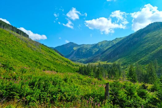 Beautiful picturesque mountain valley on a sunny day