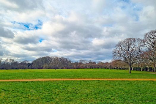Beautiful green park on a winter cloudy day