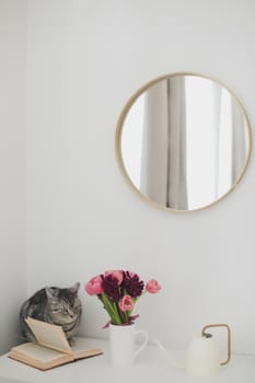 Gray cat and pink tulip bouquet in a cozy living room. Spring stll life, birthday, Easter concept.
