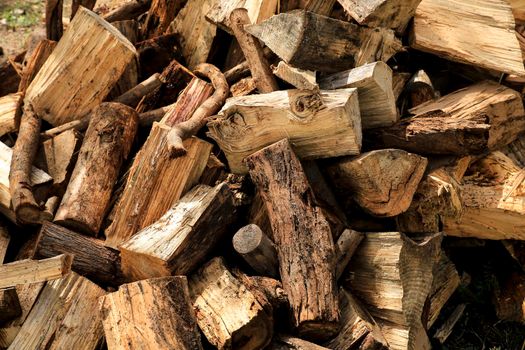 Cut firewood for sale in the countryside in Spain