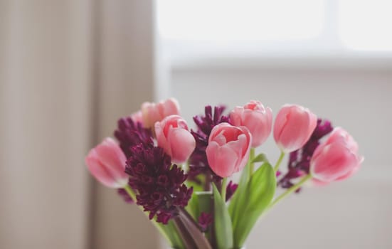 pink tulip bouquet in daylight. Spring stll life, birthday, Easter concept.