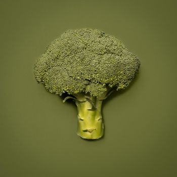 Shot of a broccoli floret against a studio background.