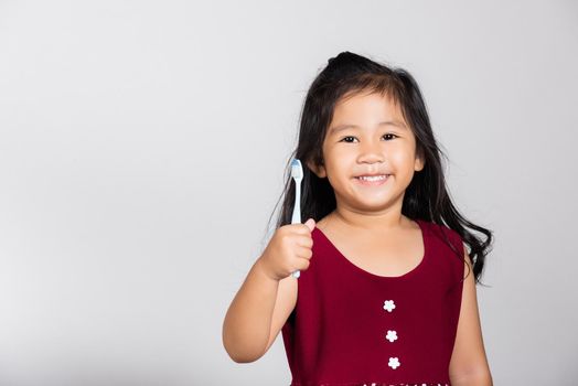 Little cute kid girl 3-4 years old show brush teeth and smile in studio shot isolated on white background, happy Asian children holding toothbrush in mouth by himself, Dental hygiene healthy concept