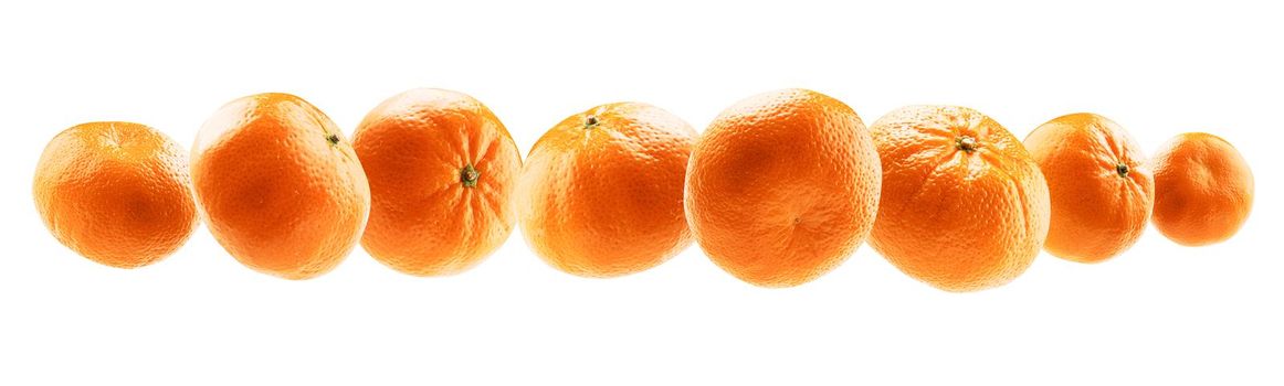 Orange tangerines levitate on a white background.