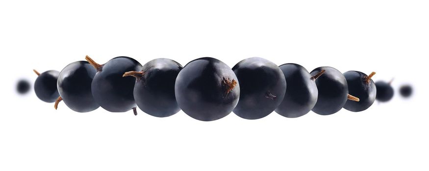 Blackcurrant berries levitate on a white background.