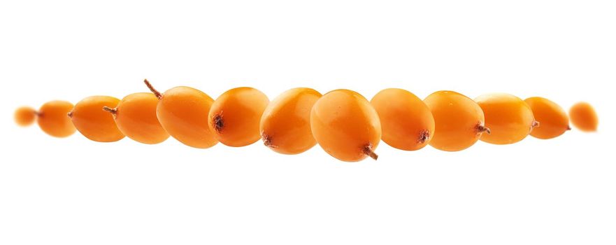 Sea buckthorn berries levitate on a white background.