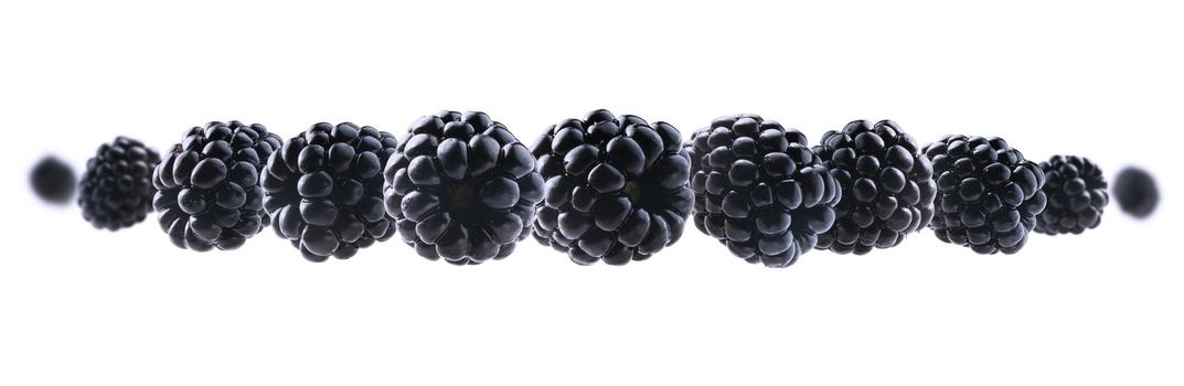 Ripe blackberries levitate on a white background.