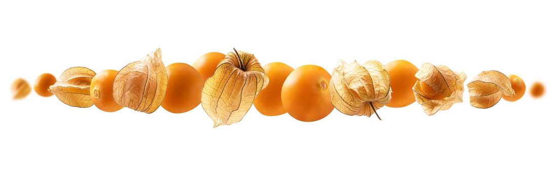 Physalis berries levitate on a white background.