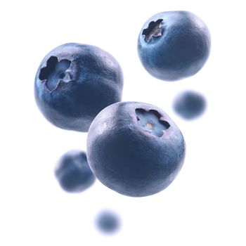 Ripe blueberries levitate on a white background.