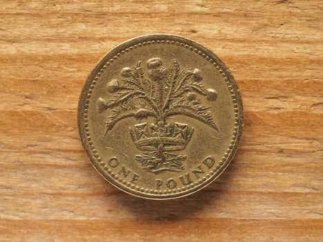 one pound coin reverse side showing Thistle and diadem representing Scotland, currency of the United Kingdom