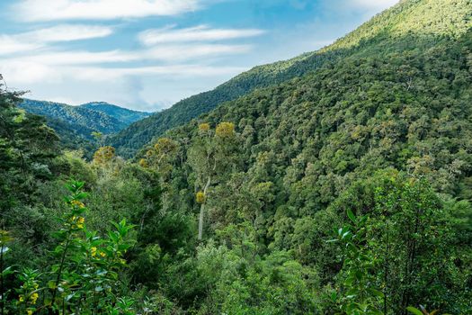 Beautiful view on the hills and rainforest surrounding San Gerardo de Dota, beautiful Costa Rica Wilderness landscape