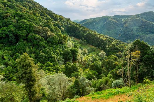 Beautiful view on the hills and rainforest surrounding San Gerardo de Dota, beautiful Costa Rica Wilderness landscape