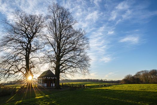 Panoramic image of small chapel under trees during sunrise, Bergisch Gladbach, Germany
