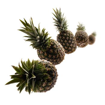 Ripe pineapples levitate on a white background.