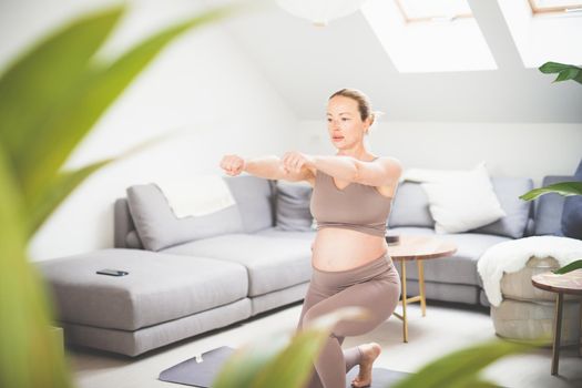 Young beautiful pregnant woman training pilates at home in her living room. Healthy lifestyle and active pregnancy and motherhood concept