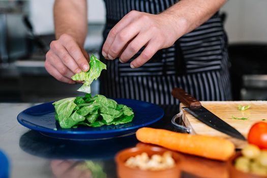 detail of the hands of a young man, dressed in a black polo shirt and a dark striped apron, preparing a salad dish in a professional kitchen, on a table full of food. Cold and clean environment, background of professional aluminium tables and cooking fires of a restaurant.