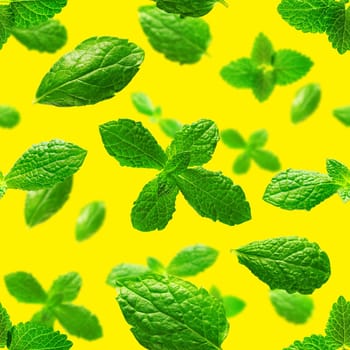 Seamless pattern of fresh mint leaves on yellow background for packaging design. peppermint abstract background.