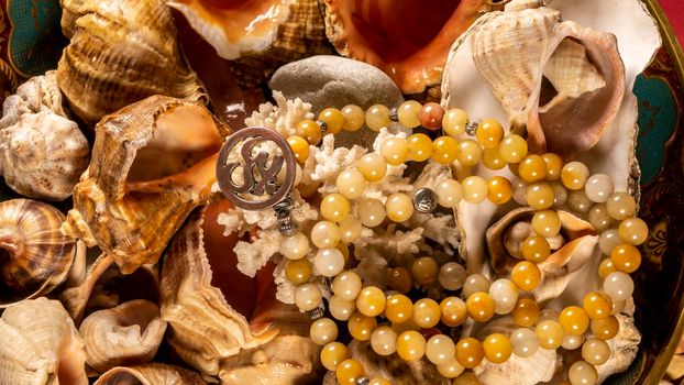 Buddhist prayer beads Mala lying on the sea rocks surrounded by sea shells. close-up color