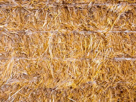 Golden straw stack tightened with straps. Texture background of yellow straw bale