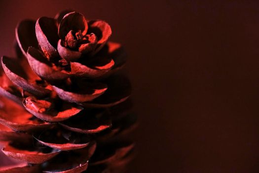 macro leaf bumps, low light, red background color