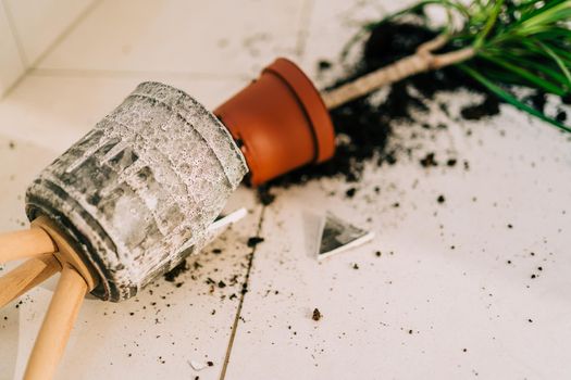 Broken flower pot on the floor with spilled soil and damaged plant. Home chores - cleaning the dirt from broken flowerpot. Flower accident with shattered ceramic pot and messy dirt on the balcony