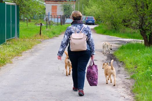 Woman walks down road in dog box color