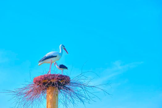 artificial stork made of plastic