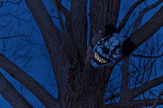 Terrifying Scary Clown Mask with Large Fangs in a Spooky Tree with at Twilight or Night. High quality photo