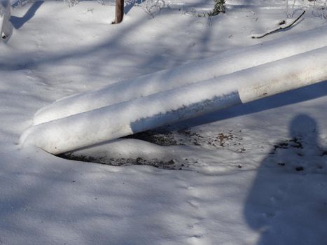 Blue and white obstacle bars laying on the frozen ground under the snow