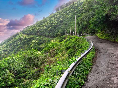 Waipio Valley Road, the steepest road in the USA leading down to Punaluu Black Sand Beach in Hawaii on the Big Island. Restricted to 4x4 vehicles and foot traffic