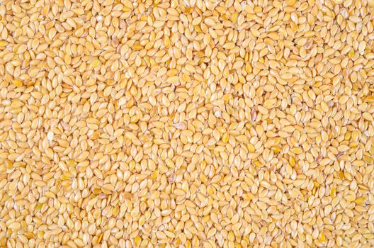 The Gold flax seeds texture as background.