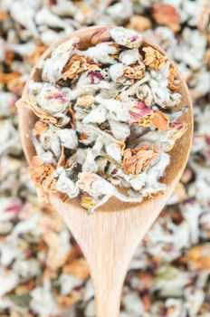 Flower tea. Dried of apple blossom in wooden spoon.