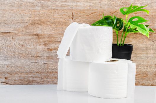 The Tissue paper rolls and green leaves on white background.