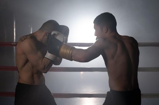 Two muscular mixed martial arts athletes fighting in the ring. High quality photography.