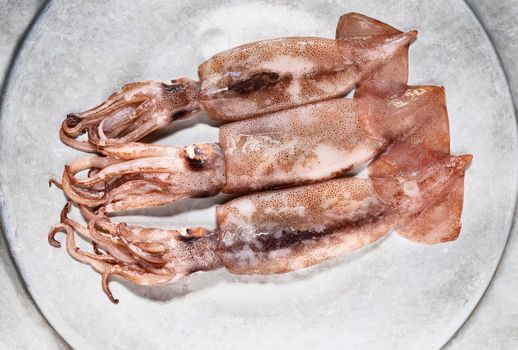 Fresh uncooked  flying squid  fish on gray plate