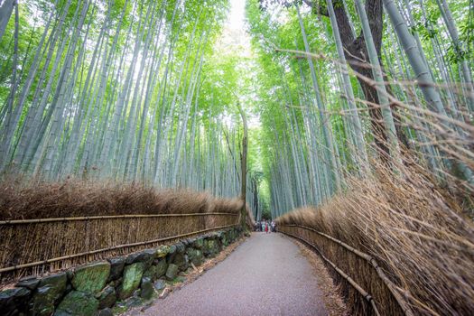 Wide angle of the Arashiyama Bamboo Grove with blurred tourists in Kyoto