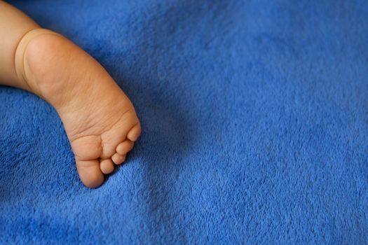 Children's legs on a blue veil close-up