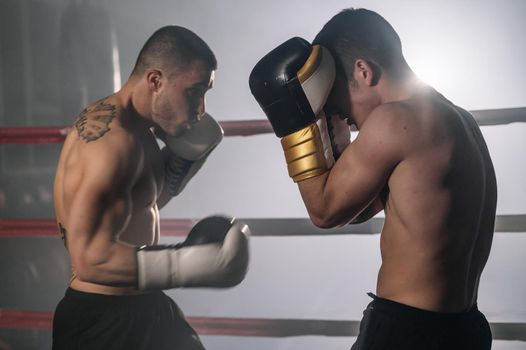 Two professional young muscular shirtless male boxers fighting in a boxing ring. High quality photography.