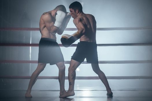 Two professional young muscular shirtless male boxers fighting in a boxing ring. High quality photography.