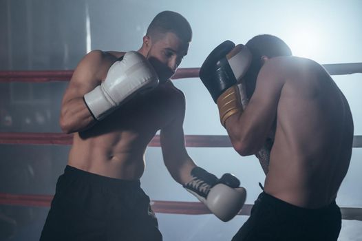 Two professional young muscular shirtless male boxers fighting in a boxing ring. High quality photography.