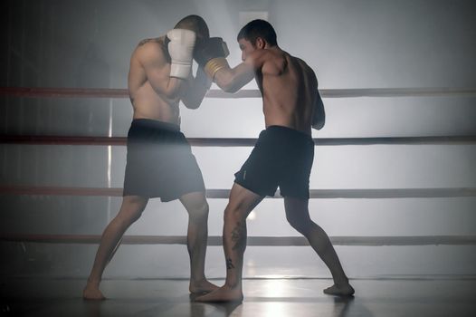 Two professional young muscular shirtless male boxers fighting in a boxing ring. High quality photography.