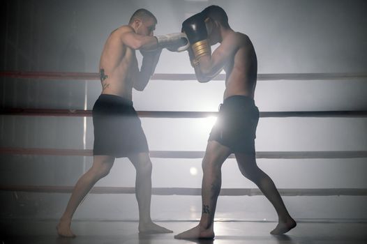 Two muscular mixed martial arts athletes fighting in the ring. High quality photography.