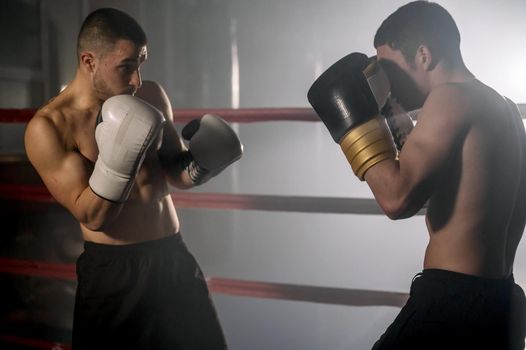 Two professional young muscular shirtless male boxers fighting in a boxing ring. High quality photography.