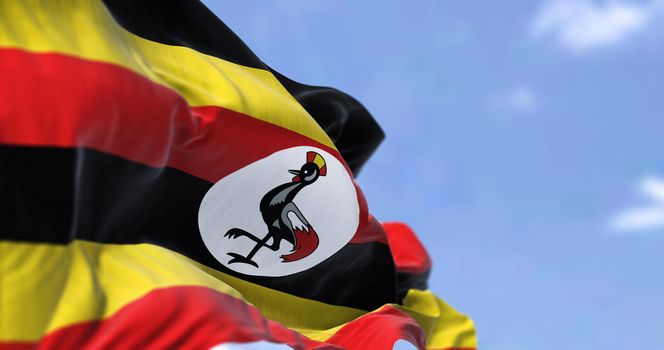 Detail of the national flag of Uganda waving in the wind on a clear day. Uganda s a landlocked country in East Africa. Selective focus.