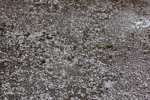 White ice hail on the asphalt road surface after summer storm at daylight