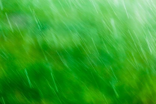 blurry falling raindrops on green background with selective focus - full frame telephoto view, shot on 200 mm at one hundredth of a second