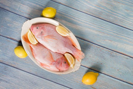 raw fresh pink tilapia fish lies on a platter surrounded by yellow lemons and on a blue wooden background. High quality photo
